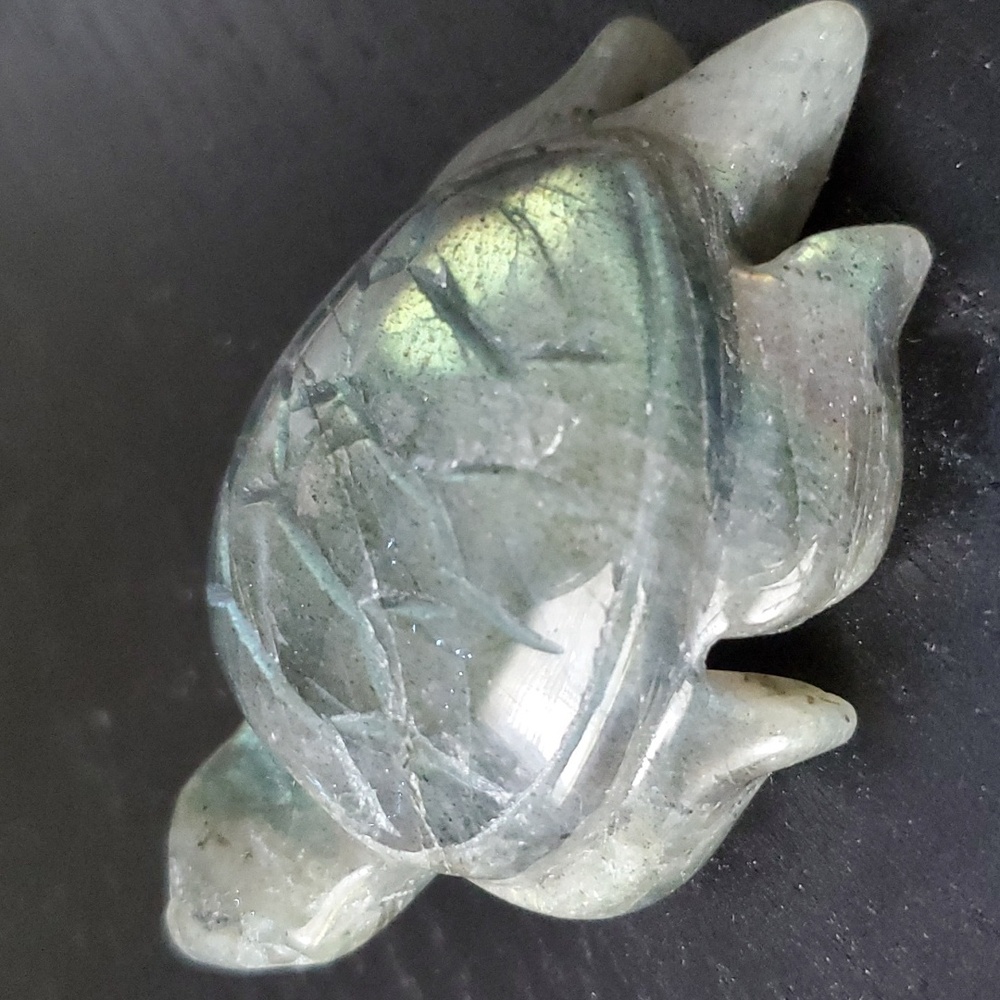 🐢 Labradorite Turtle 🐢 - Picture 4 of 7
